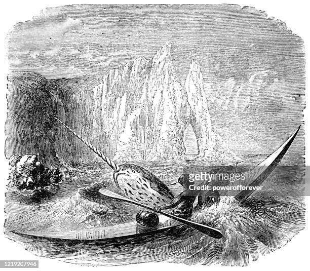 inuit man hunting a narwhal - 19th century - inuit kayak stock illustrations