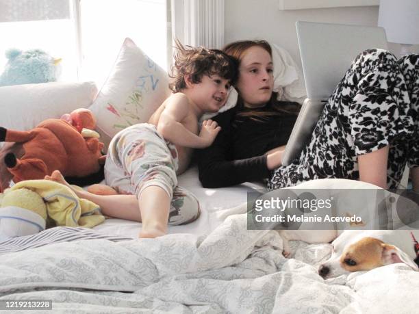 Little boy and little girl who are brother and sister lying in bed together playing on a computer. The big sister is the one holding the computer. They are both looking at the screen together. Their white dog is also in the bed with them.