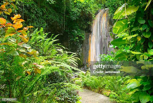 spectacular diamond falls of soufriere st lucia - saint lucia stock pictures, royalty-free photos & images