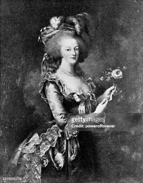 stockillustraties, clipart, cartoons en iconen met portret van marie antoinette door louise elisabeth vigée le brun - 18e eeuw - frans koninklijk huis