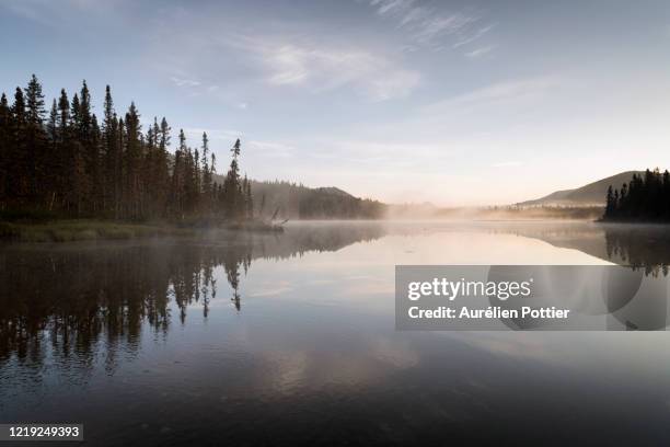 parc national de la gaspésie, petit lac cascapédia, dawn - parc national de la gaspésie stock pictures, royalty-free photos & images