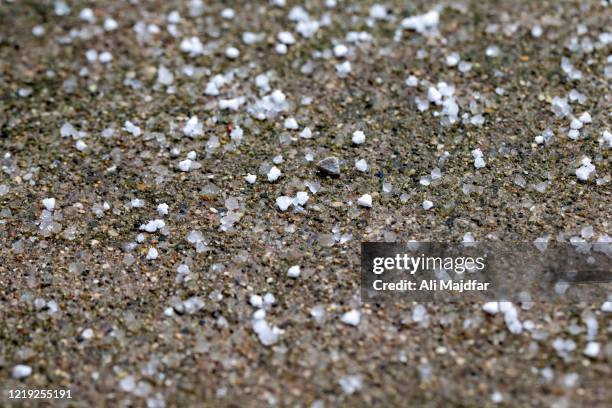 Hail Field 1,060 Hail Field Stock Photos, High-Res Pictures, and Images - Getty Images