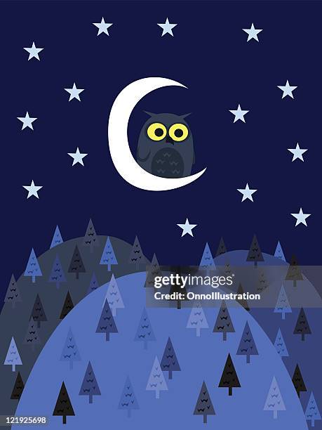 owl and moon - half moon stock illustrations