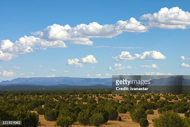 southwestern landscape with sandia mountains - new mexico mountains stock pictures, royalty-free photos & images
