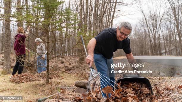 50-jarige man met paardenstaart vrijwilligerswerk door het schoonmaken van de goot in de gemeenschap van oude bladeren in de lente. zijn tienerdochter en oudere moeder helpen hem. - 50 years old man stockfoto's en -beelden