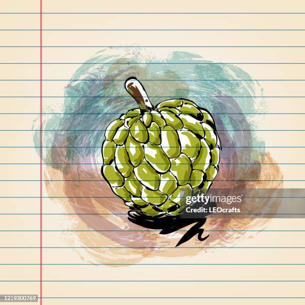 Apple Ruled Paper Custard Apple Drawing On Ruled Paper High-Res Vector Graphic - Getty Images