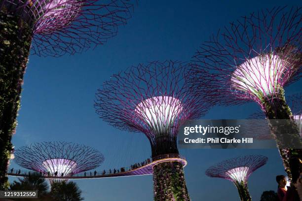 Gardens By The Bay on 3rd June 2018 in Singapore. The Gardens by the Bay is a nature park spanning 101 hectares in the Central Region of Singapore,...