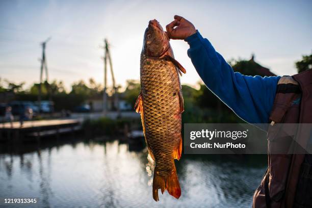 Daily Life in Vylkove, Odessa Oblast, Ukraine, in June 2020. Vylkove is a town located in the Ukrainian part of the Danube Delta, on the border with...