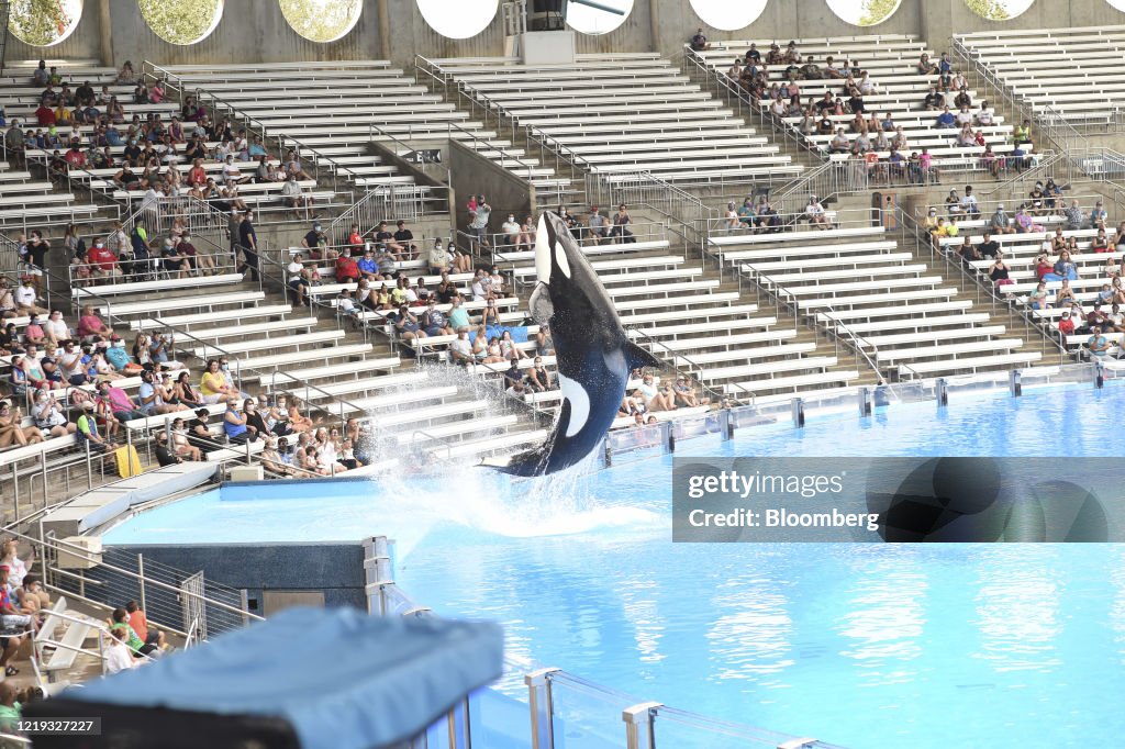 SeaWorld Orlando Reopens With Anti-Coronavirus Measures