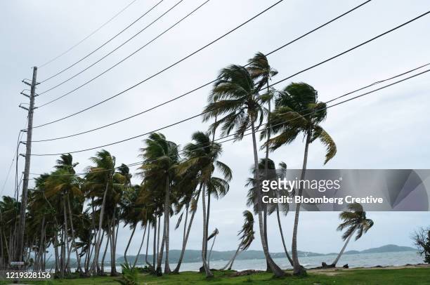 tropical storm karen - extreme weather stock pictures, royalty-free photos & images