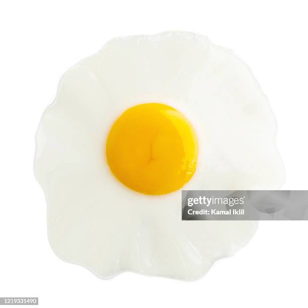 fried egg - stekt ägg bildbanksfoton och bilder