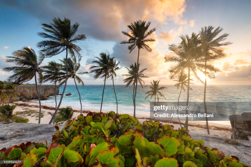 Bottom Bay Beach during sunrise, Barbados Island