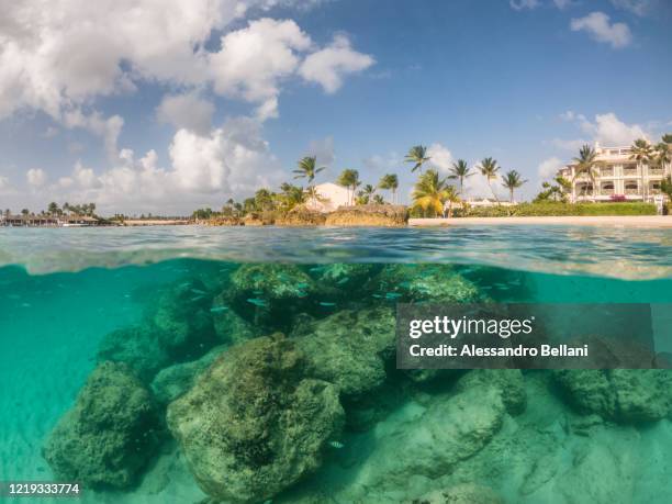 double landscape, barbados island - fish barbados stock pictures, royalty-free photos & images