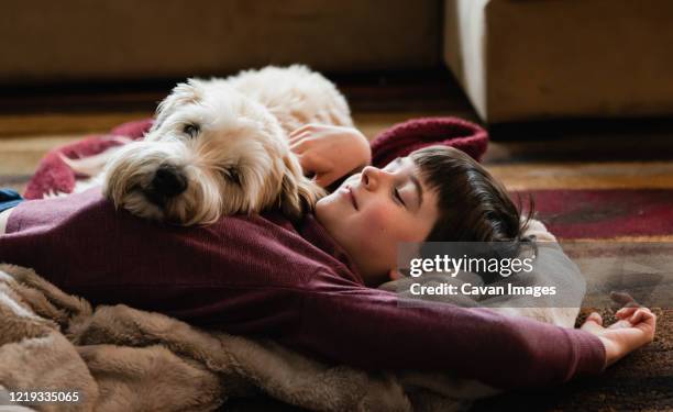 boy and his dog cuddling on the floor together on a blanket. - animals cuddling stock pictures, royalty-free photos & images