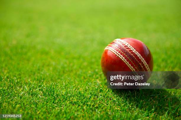 red cricket ball on grass - cricket ball stock pictures, royalty-free photos & images