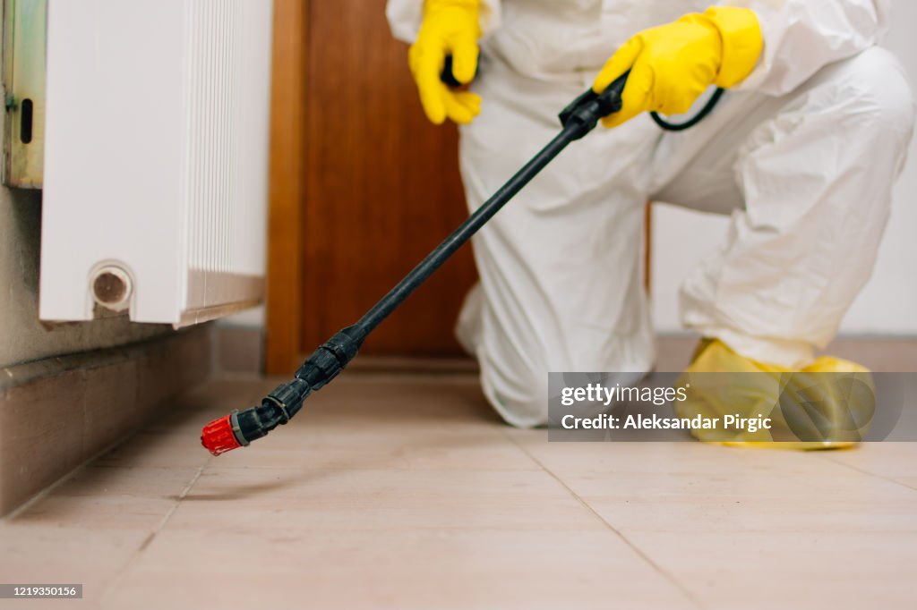 Exterminator, hygiene, disinfection