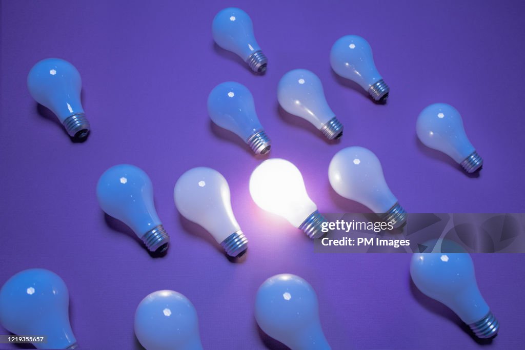 One lit lightbulb among many