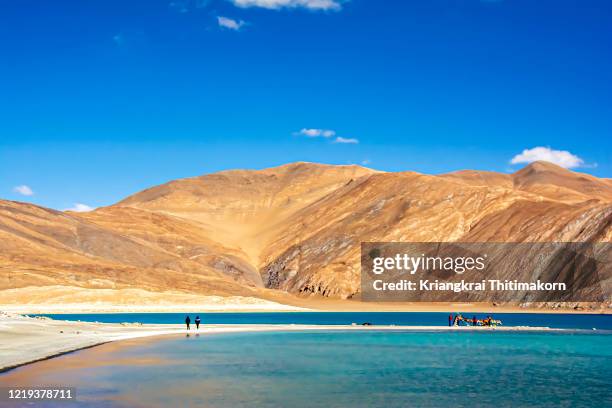 landscape at pangong lake in ladakh region, india. - ladakh stock-fotos und bilder