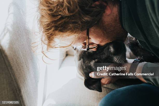 kissing dog - sadness death stock pictures, royalty-free photos & images