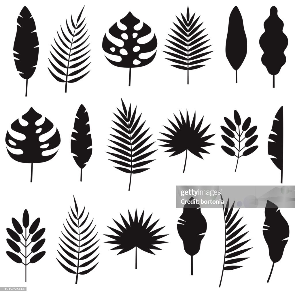 Tropical Leaf Silhouettes Set