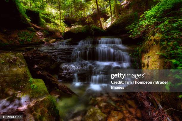 bankhead forest waterfalls - national forest stock pictures, royalty-free photos & images