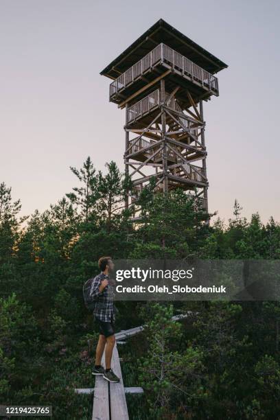 man walking on swamp in estonia - torre de observação imagens e fotografias de stock