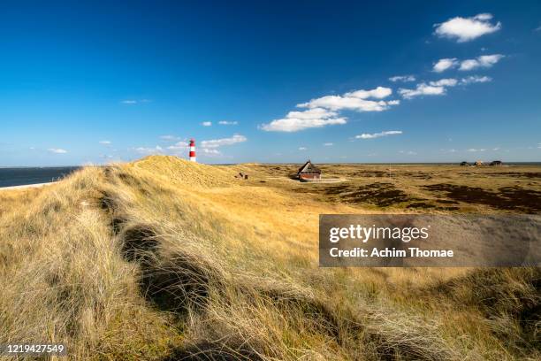 lighthouse, sylt island, germany, europe - wattenmeer national park stock pictures, royalty-free photos & images