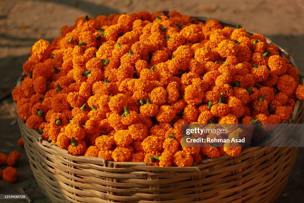 A basket of marigold flowers