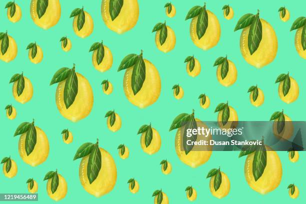 lemons seamless pattern stock illustration - grape fruit pattern stock illustrations