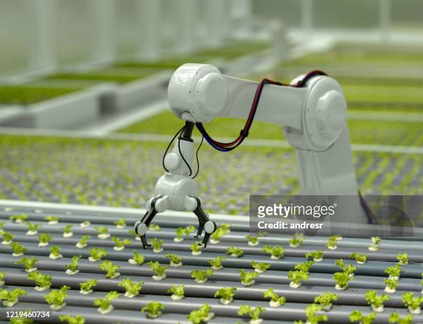 3d robotic arm harvesting lettuce - robot stock pictures, royalty-free photos & images