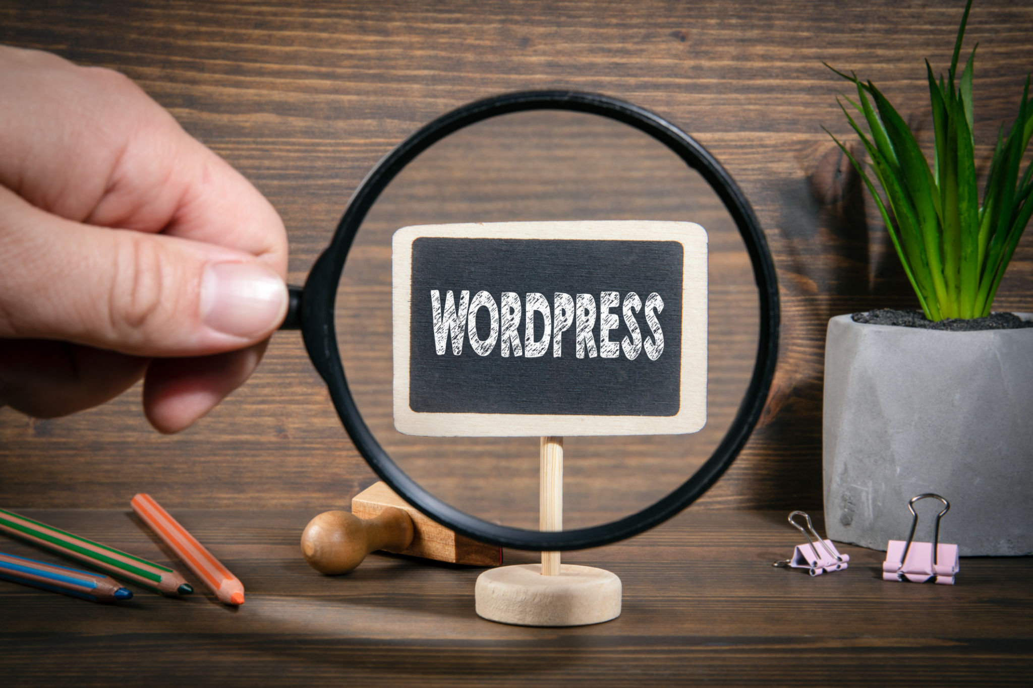 wordpress blog