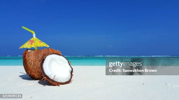 a coconut made into a cocktail with a straw and an umbrella by the beach in the caribbean - drink umbrella stock pictures, royalty-free photos & images