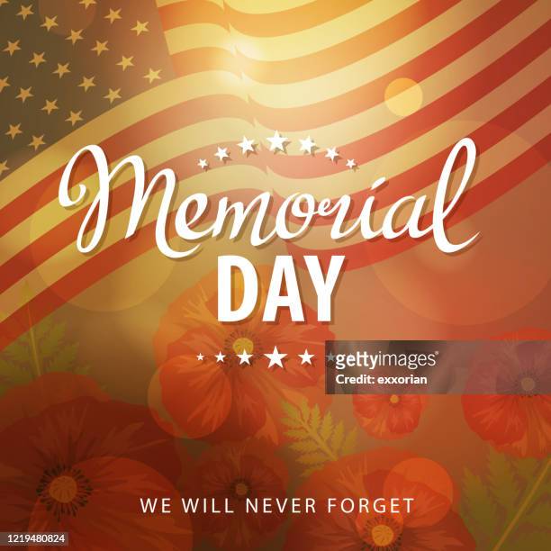 us memorial day poppies background - war memorial holiday stock illustrations