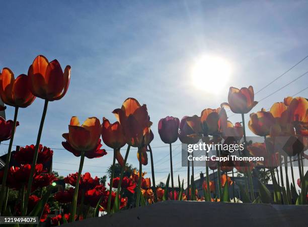 Spring In Nh New Hampshire Spring Photos and Premium High Res Pictures - Getty Images