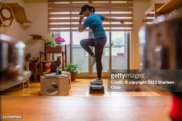 step aerobic at home - aerobic stockfoto's en -beelden