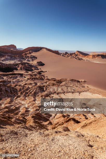 Arid Lands Ecology Reserve Photos and Premium High Res Pictures Getty