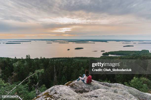 toneelmening van vrouw die meer in finland bekijkt - finnish nature stockfoto's en -beelden