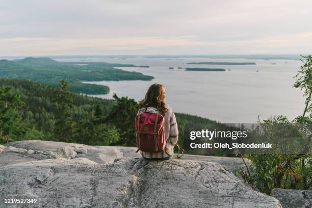 toneelmening van vrouw die meer in finland bekijkt - woman travel stockfoto's en -beelden