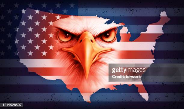 american flag map bald eagle - american flag eagle stock illustrations