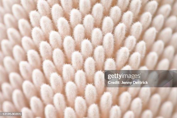 close-up of a banksia flower - banksia stock pictures, royalty-free photos & images