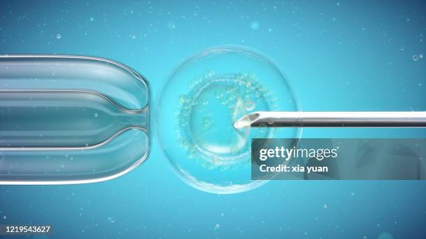 needle puncturing cell - embrione foto e immagini stock