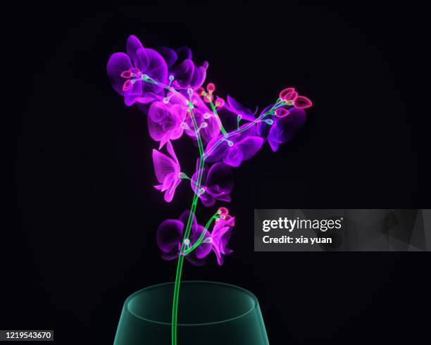 illuminated orchid flower in vases - purple petal stock pictures, royalty-free photos & images