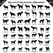 Vector dogs silhouettes 3