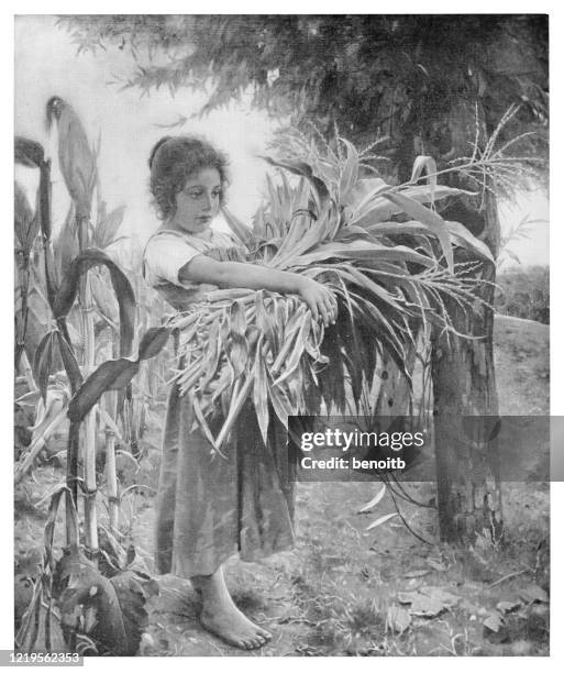 child harvesting corn - sweetcorn stock illustrations