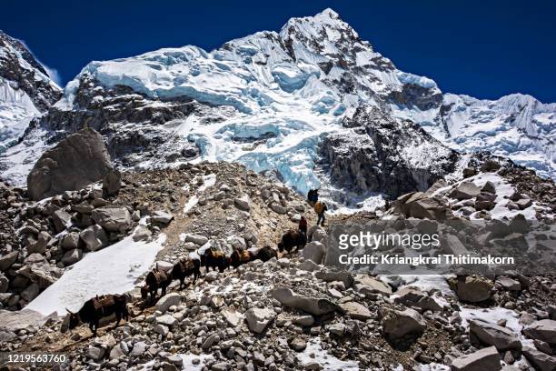 landscape at everest base camp in nepal. - toyama prefecture stock-fotos und bilder