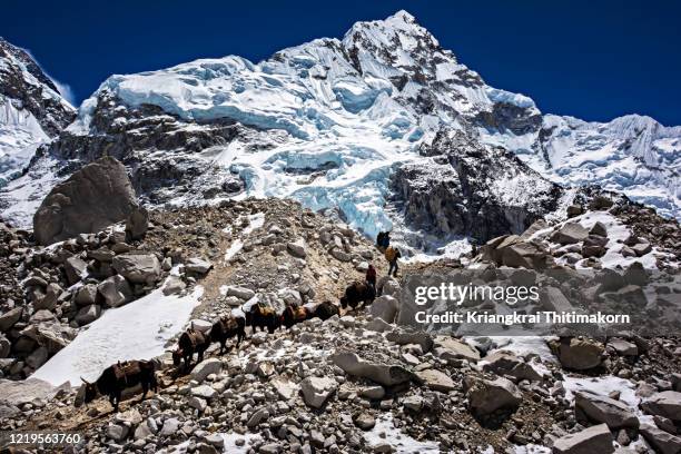 landscape at everest base camp in nepal. - toyama prefecture imagens e fotografias de stock