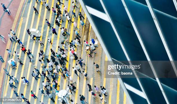 people walking on zebra crossing - zebra crossing abstract stock pictures, royalty-free photos & images