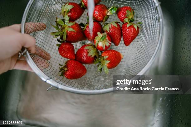 high angle view of rinsing strawberries in kitchen sink - mature adult foto e immagini stock