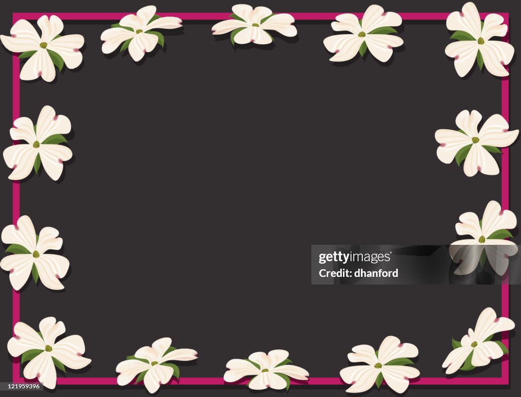 Dogwood Blossoms or Flowers