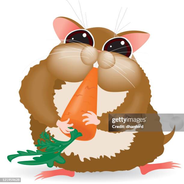 plump hamster eating a carrot - hamster stock illustrations